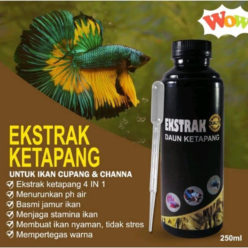 Review Ekstrak Ketapang: Bikin Ikan Glowing Tanpa Ribet!