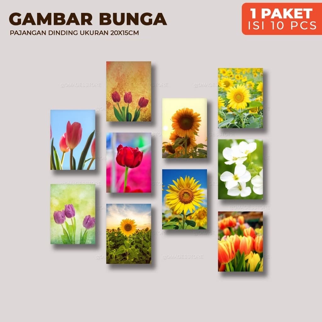 Review Omages Hiasan Dinding Bunga Aesthetic (10 Pcs)