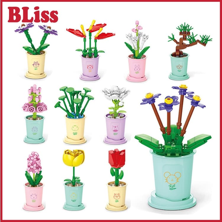 Review BLiss Pot Tanaman Balok: Hobi Baru Anti Gabut!