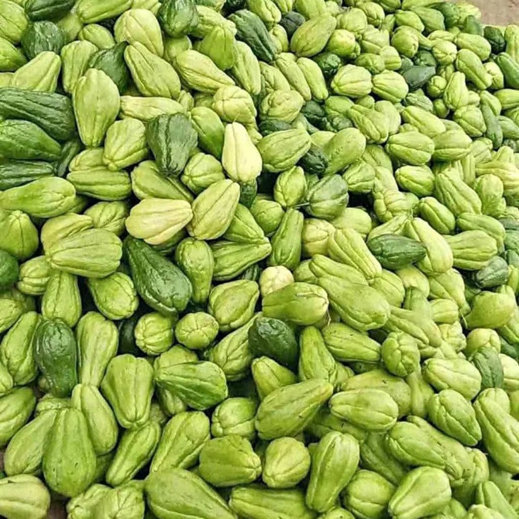 Review Labu Siam: Si Hijau Renyah Penyelamat Tanggal Tua