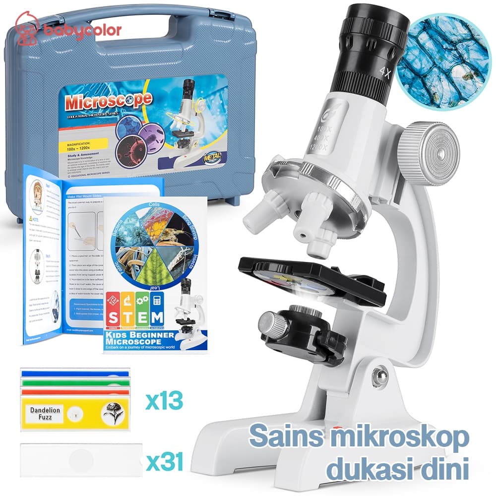 Review BABYCOLOR Mikroskop Kit: Mainan Sains Seru Anak