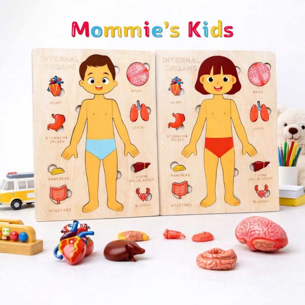 MK139: Puzzle Anatomi Manusia Edukasi untuk Si Kecil!