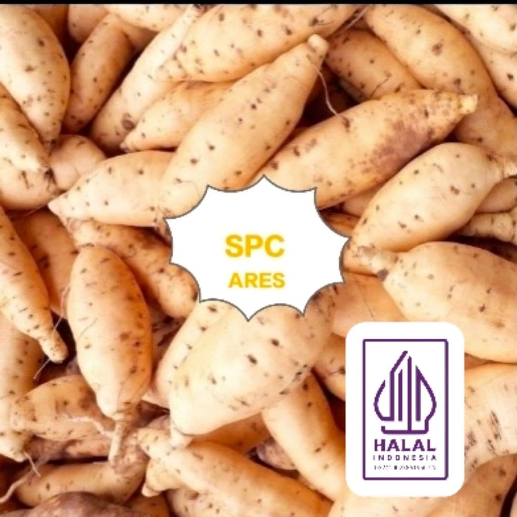 Ubi Madu Cilembu: Manis Alami, Sehat & Bikin Nagih!